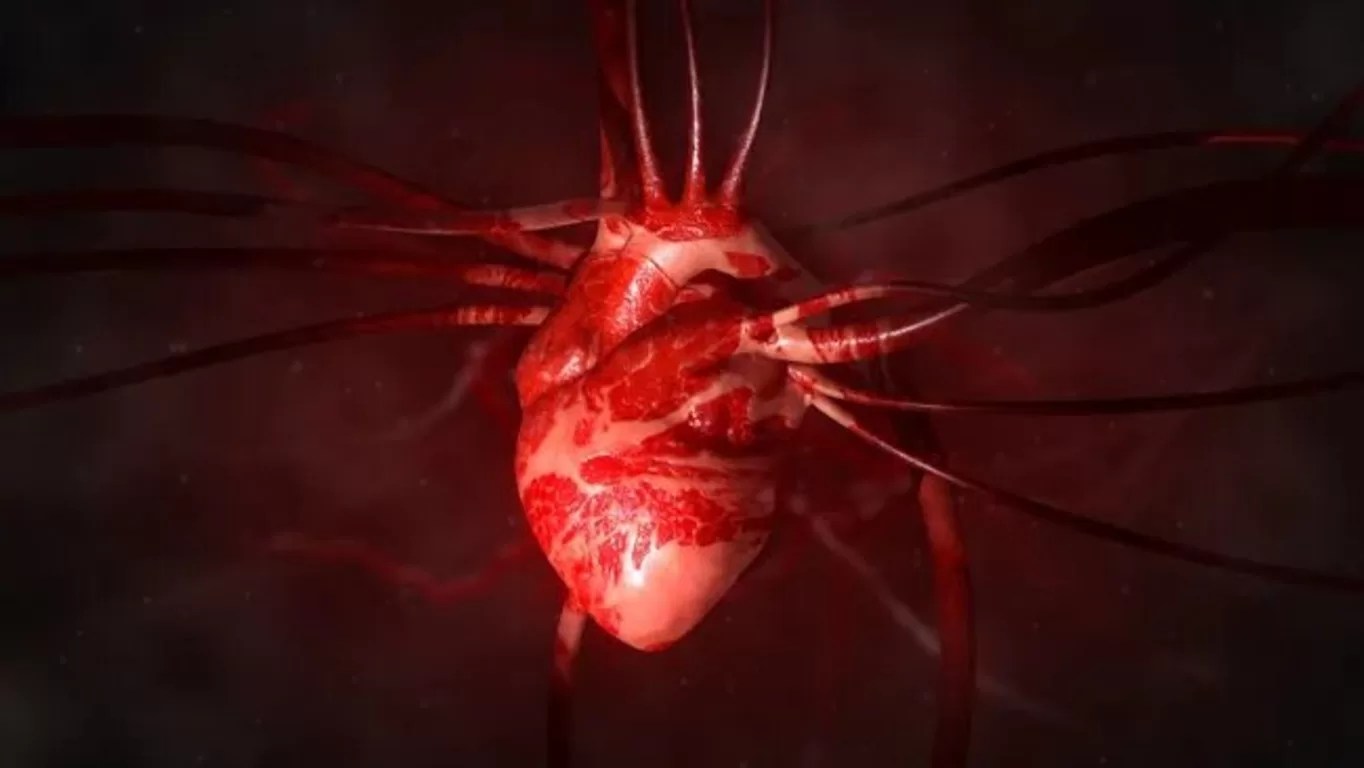 "Stem-Cell Miracle: How Lab-Grown Heart Patches Saved a Woman’s Life Before Transplant!"