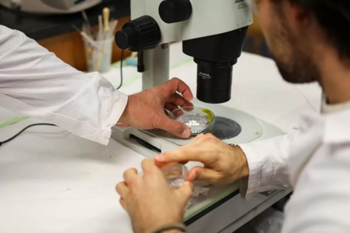 Nanoplastics Found in Human Brains: A Growing Health Concern