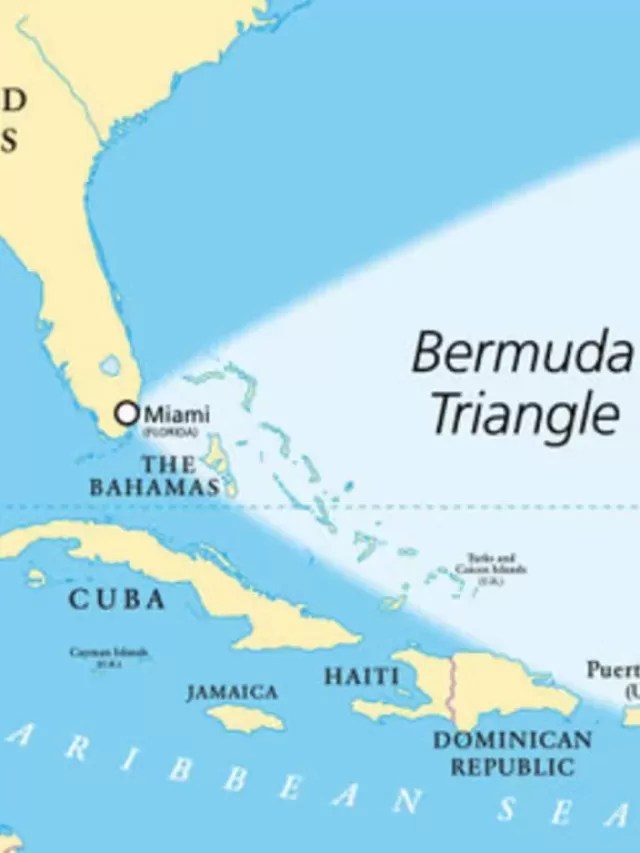 bermuda-zz