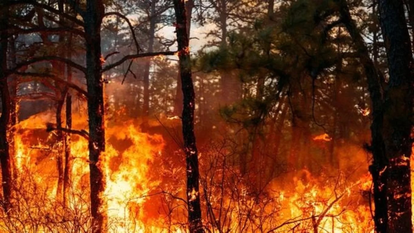 "North & South Carolina Wildfires 2025: Hurricane Helene Aftermath Fuels Crisis"