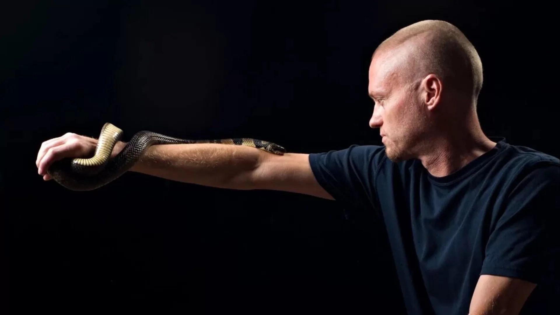How One Man’s Snake Venom Immunity Could Revolutionize Antivenom for Millions
