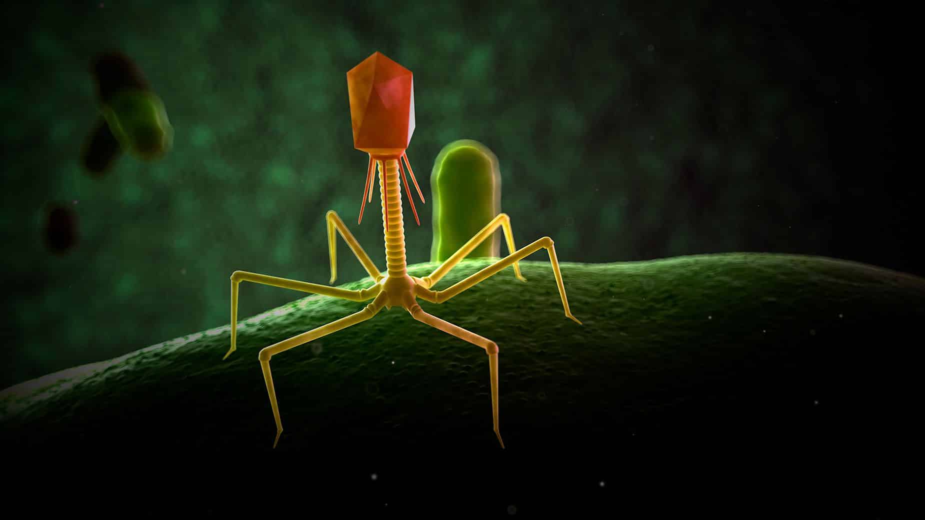 We’re Losing the War Against Superbugs Faster Than We Thought, WHO Warns