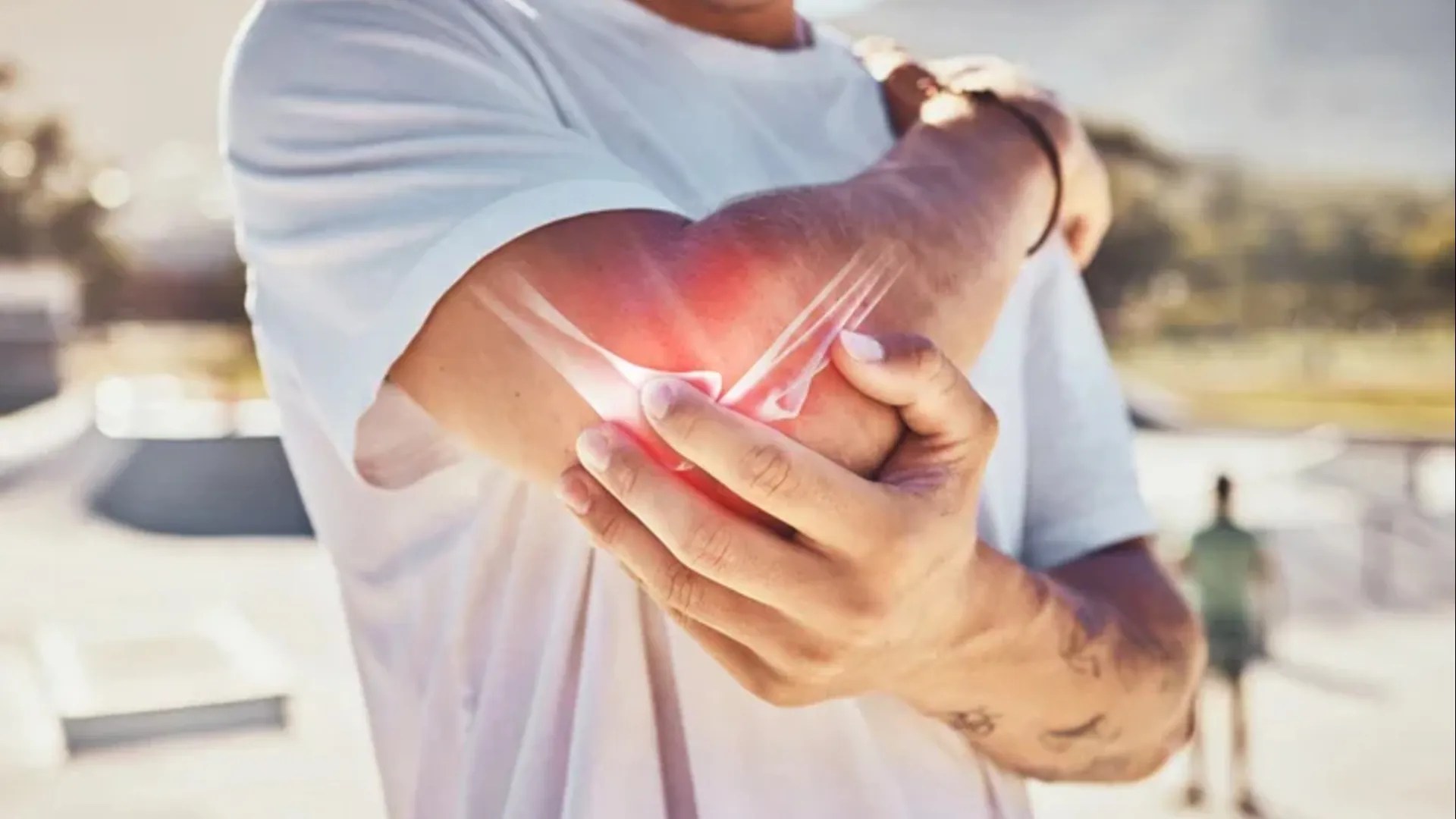 New Discovery Could Help Reverse Osteoporosis and Strengthen Bones