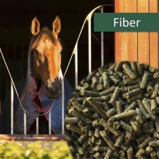 Fiber, HorsePro 20 kg