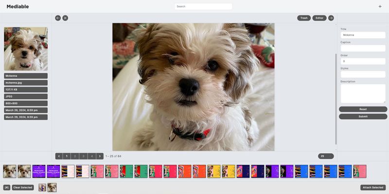 Github Kreshashah Mediamingle Mediamingle Is A Versatile Multimedia - 4K Landscape Illustrations for Desktop