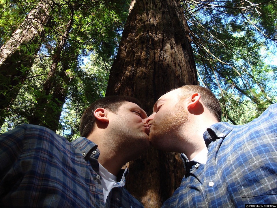 DILEMMA | Could my bisexual partner cheat on me? 15