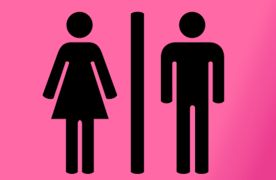 University Awarded £50,000 To See Whether Calling Toilets "Gents" Or "Ladies" Is Discriminatory 6
