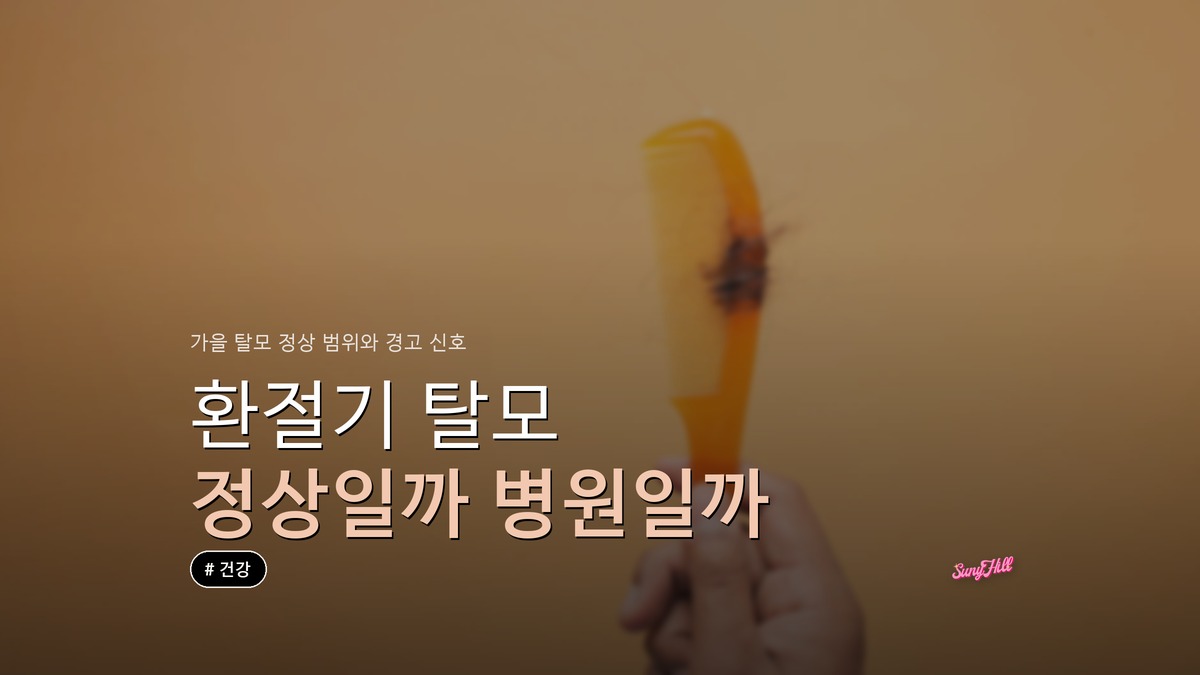 가을 환절기 탈모, 정상 범위와 병원 갈 신호가 나뉜다