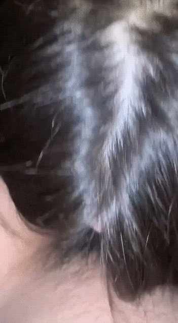 ⭐⭐【原档泄密】沈阳超级肥臀大奶骚货 脸接鸡巴穿着黑丝被乱干一顿淫叫着好爽好爽最后又说受不了了(9v)
