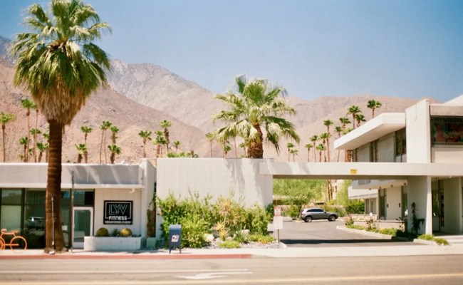 Read Text File JavaScript Guide