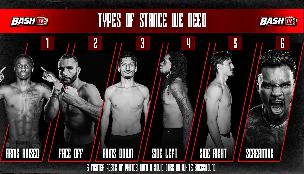 Example fighter poses