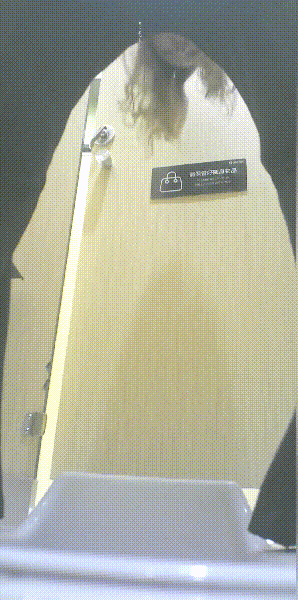 商场女厕全景偷拍极品少妇❤️肥美的嫩鲍鱼