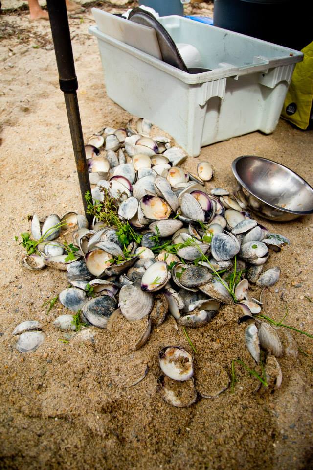 Return Of The Chowder King The Raw Bar Yoho