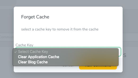 Binarybuilds Nova Advanced Command Runner Packagist - Incredible Nature Image - Full HD