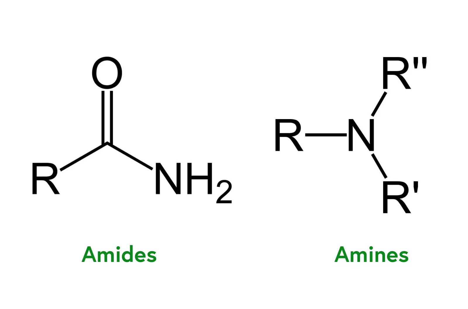 Amides vs amines: definitions, uses, and applications explained
