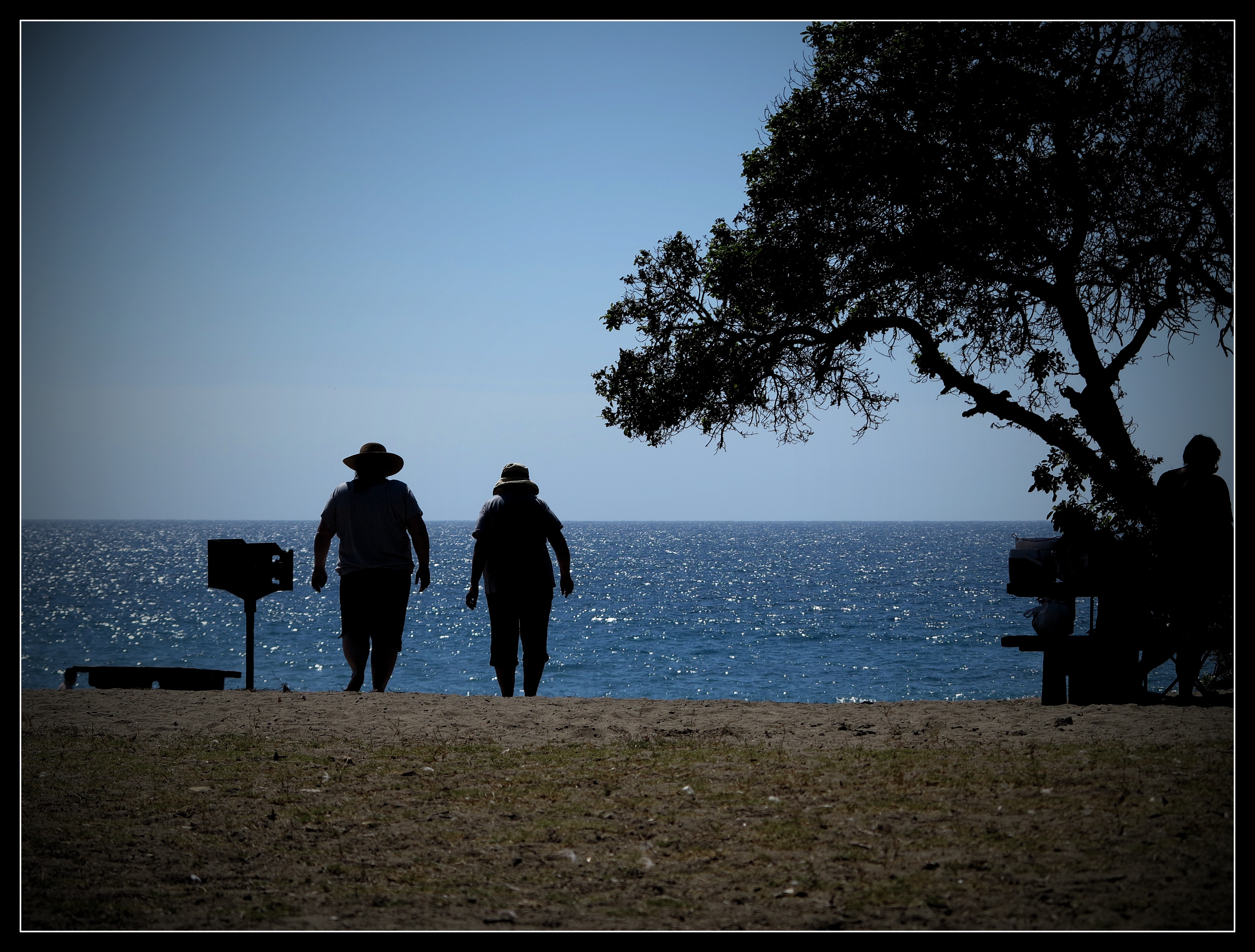 20121007-210418.jpg