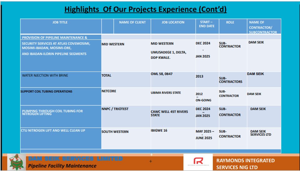 project experience 2