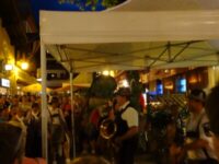 Zell am See Austria summer evening party