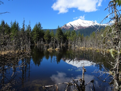 Exploring Juneau Alaska in April