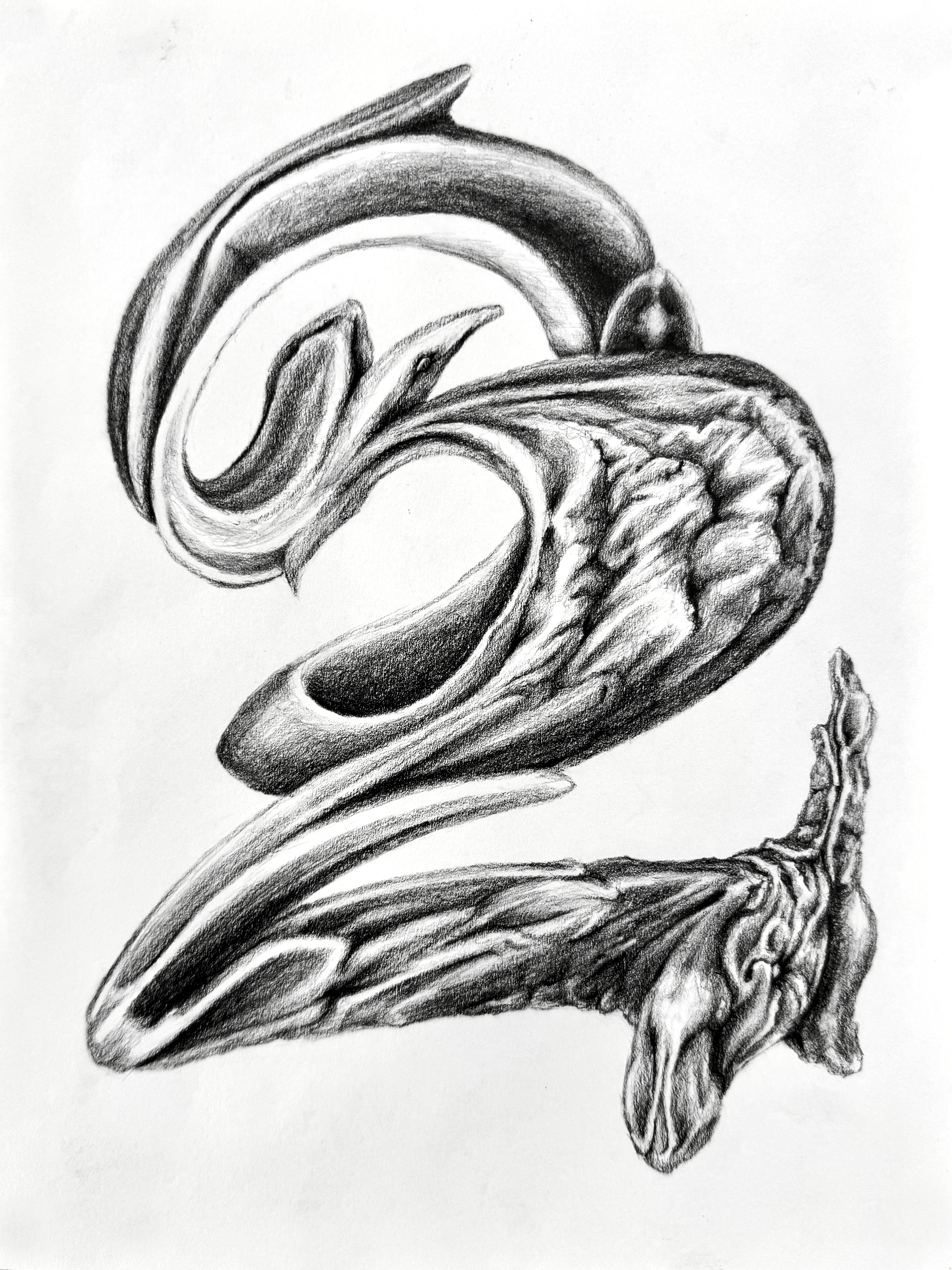 Wisp