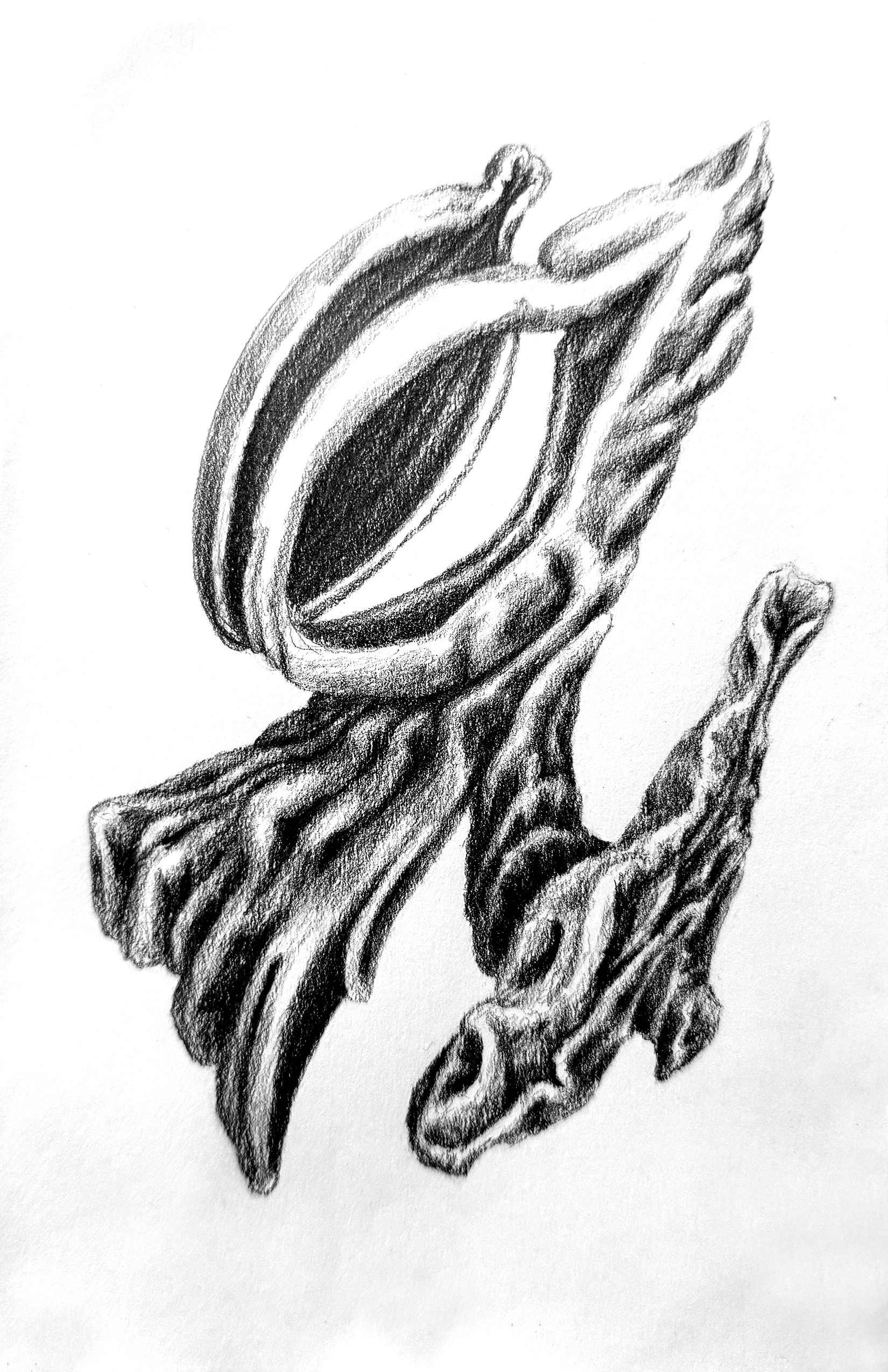 River's Shell