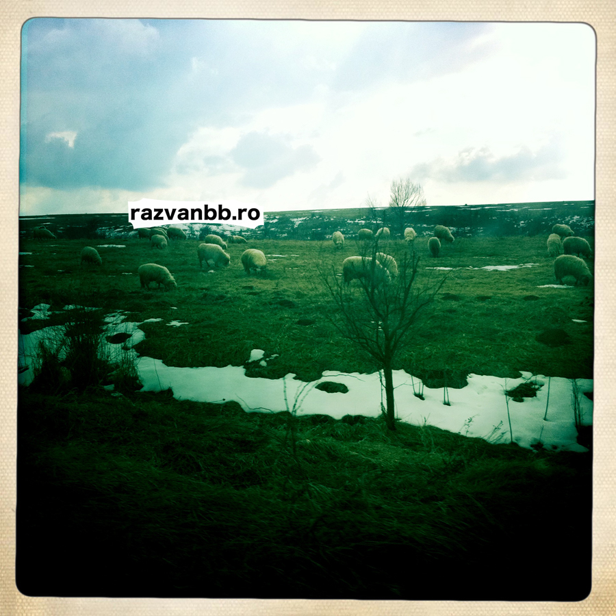 IMG_0667 copy
