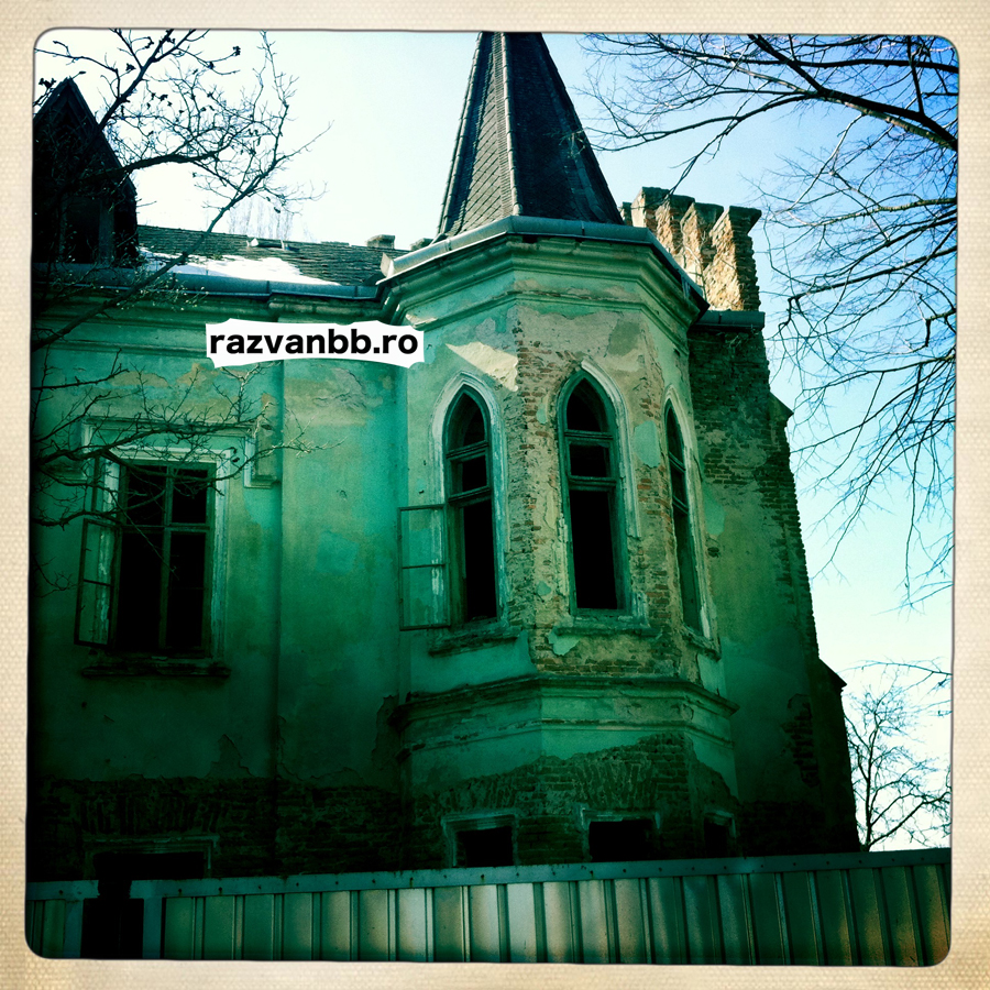 IMG_0695 copy