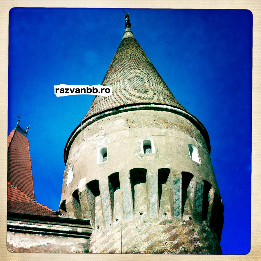 IMG_0715 copy