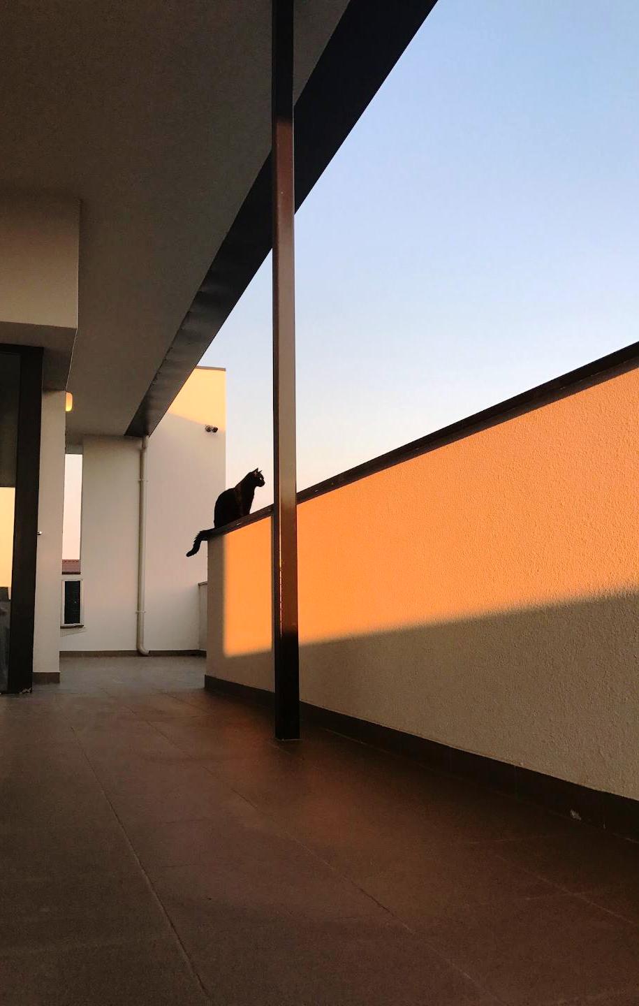 Casa moderna cu etaj- Razvan P. Botofan - Birou de arhitectura