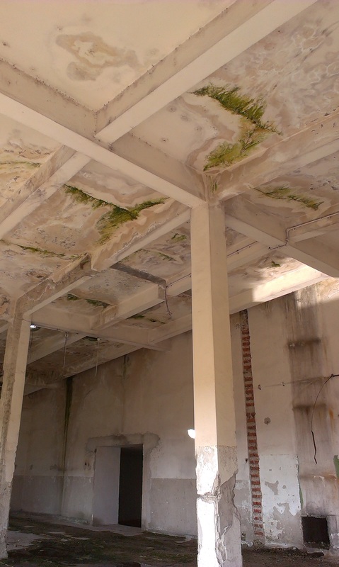 existent - Refunctionalizare depozit tuica-vin in cladire de birouri - Razvan P. Botofan - Birou de arhitectura