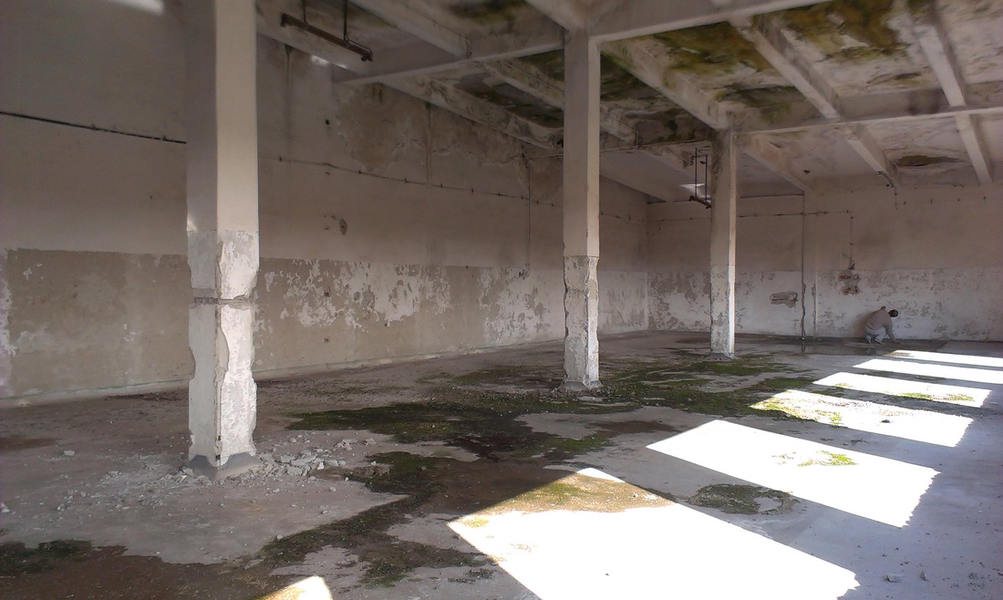 existent - Refunctionalizare depozit tuica-vin in cladire de birouri - Razvan P. Botofan - Birou de arhitectura