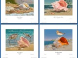 Shell Paintings Robert Dance