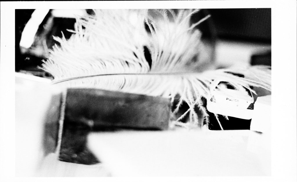 {Coffins, Ostrich Plumes, NYPD Car}