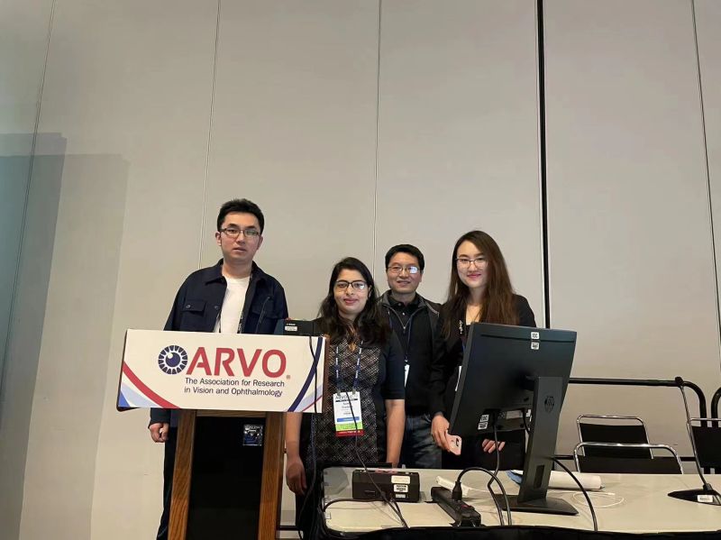 Arvo Github - Geometric Design Collection - Ultra HD Quality