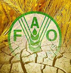 FAO previene sobre incremento en precios de alimentos