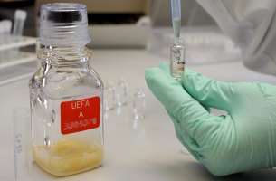 Sólo un positivo de mil 200 controles en temporada 2010-2011: UEFA