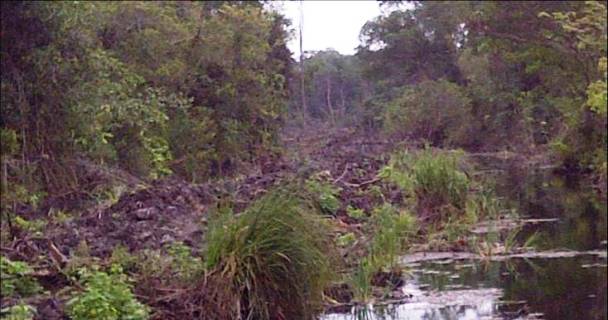 Clausuran camino vecinal en la Biosfera Pantanos de Centla