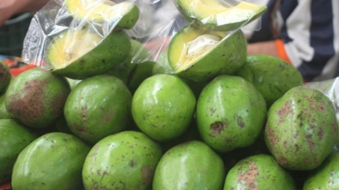 Baja el precio del aguacate hasta 10 pesos por kilogramo