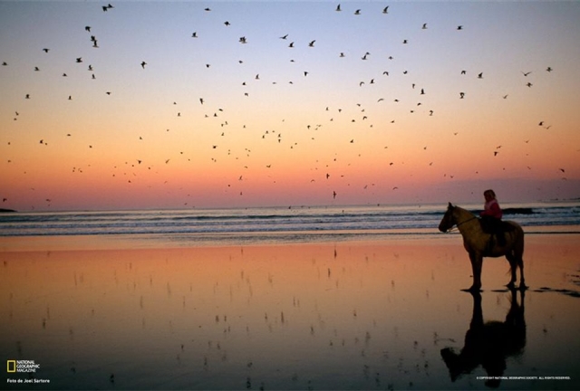 Vancouver…isla canadiense de 31.285 kilómetros cuadrados