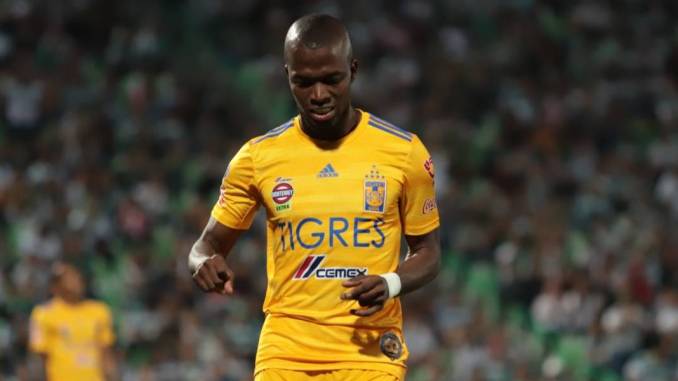 JORGE TORRES