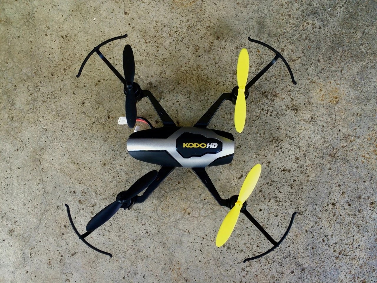 dromida kodo