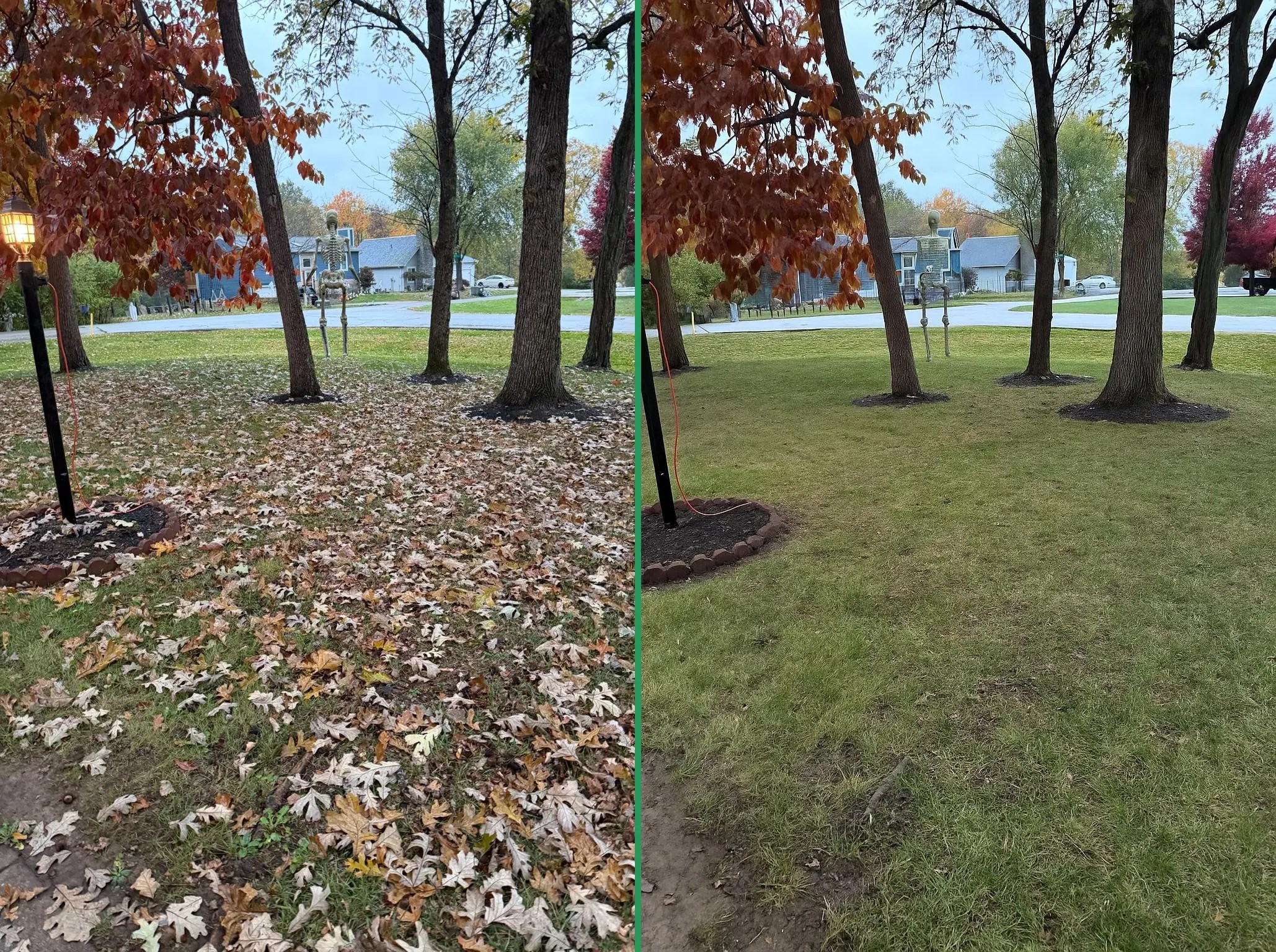 Close-up of autumn leaves being raked during a Cincinnati lawn cleanup by RDC Landscape & Lawn