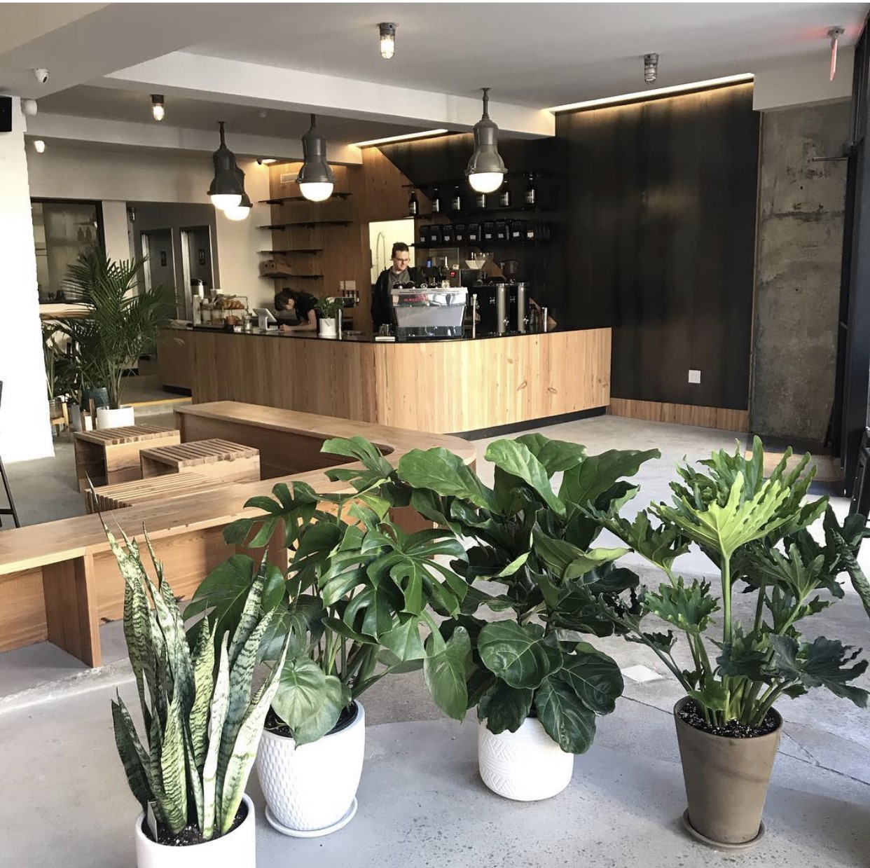 Plowshares Coffee Roasters West Harlem