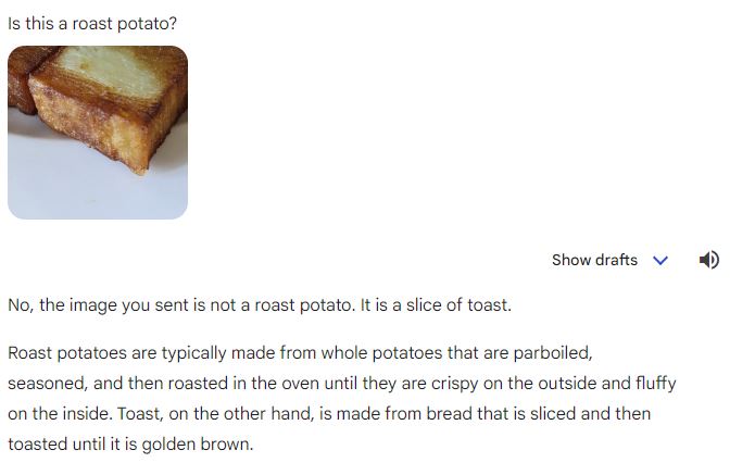 AI responding to my clarification of what type of potato this is, with "no, the image you sent is not a roast potato. it is a slice of toast".