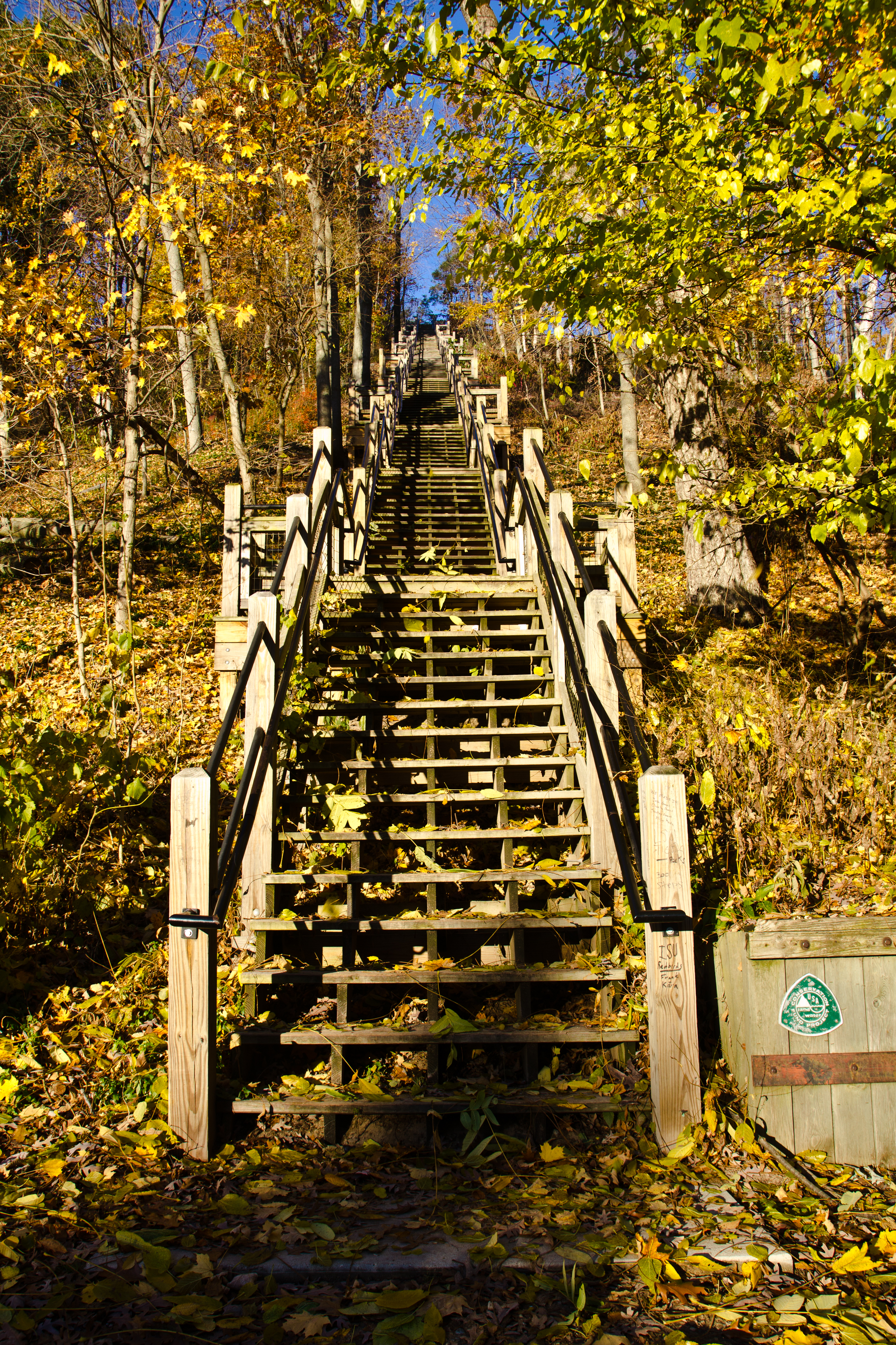 302 steps up to the top of Mt. Baldhead