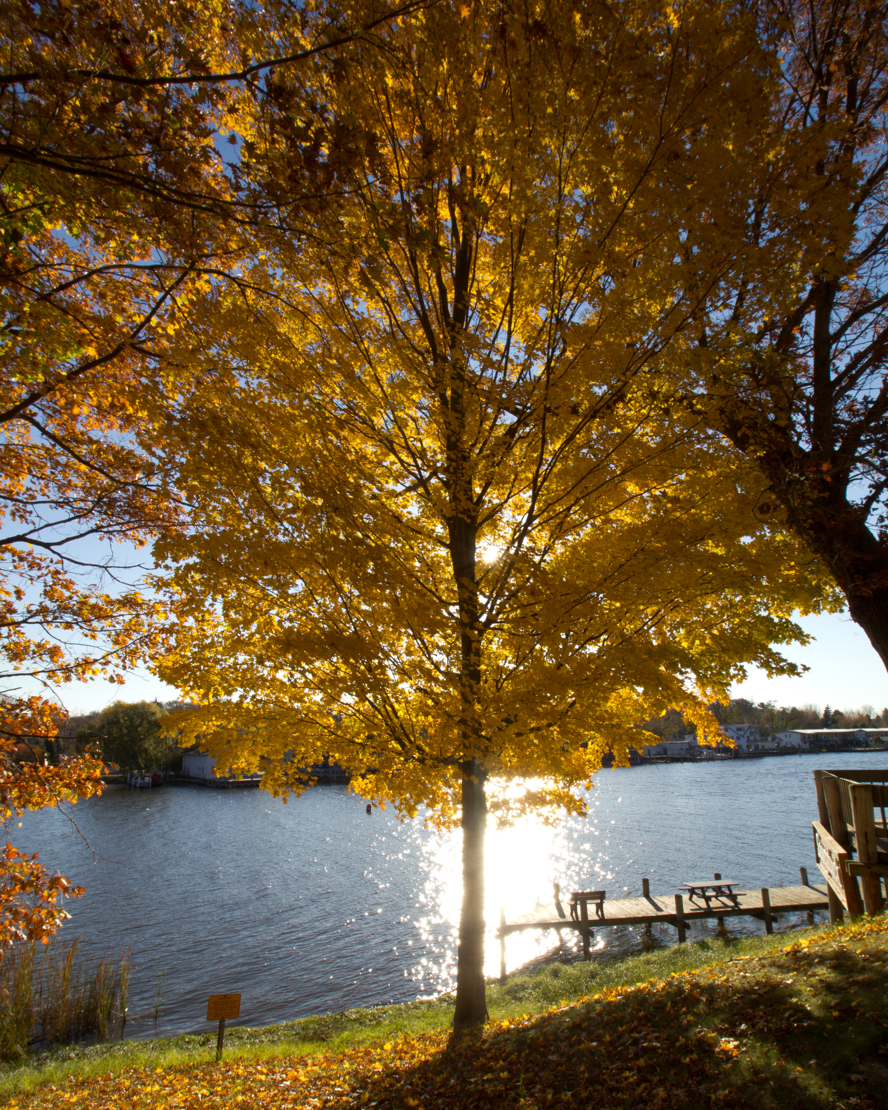 Along the Kalamazoo River