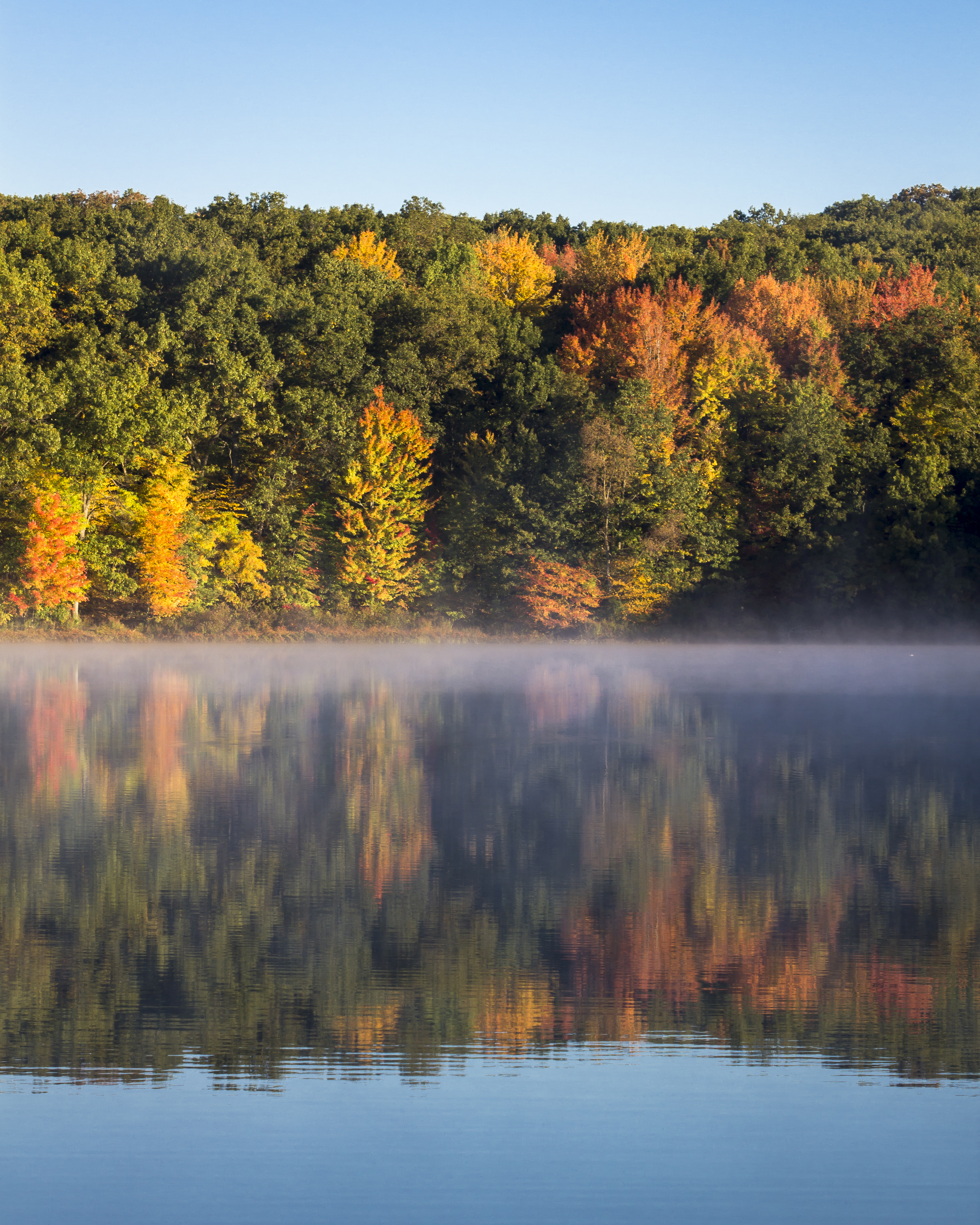 Pickerel Lake