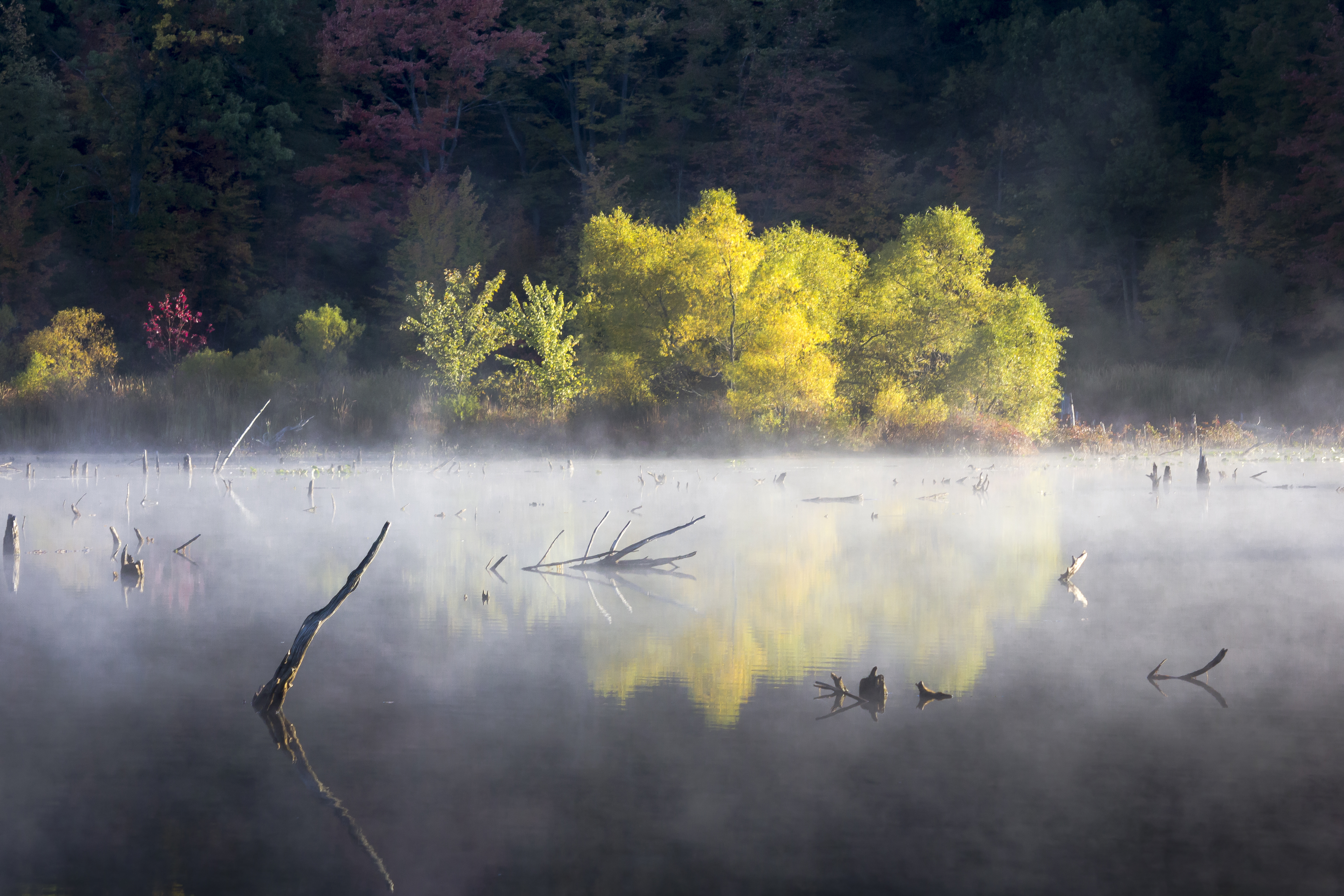 Pickerel Lake