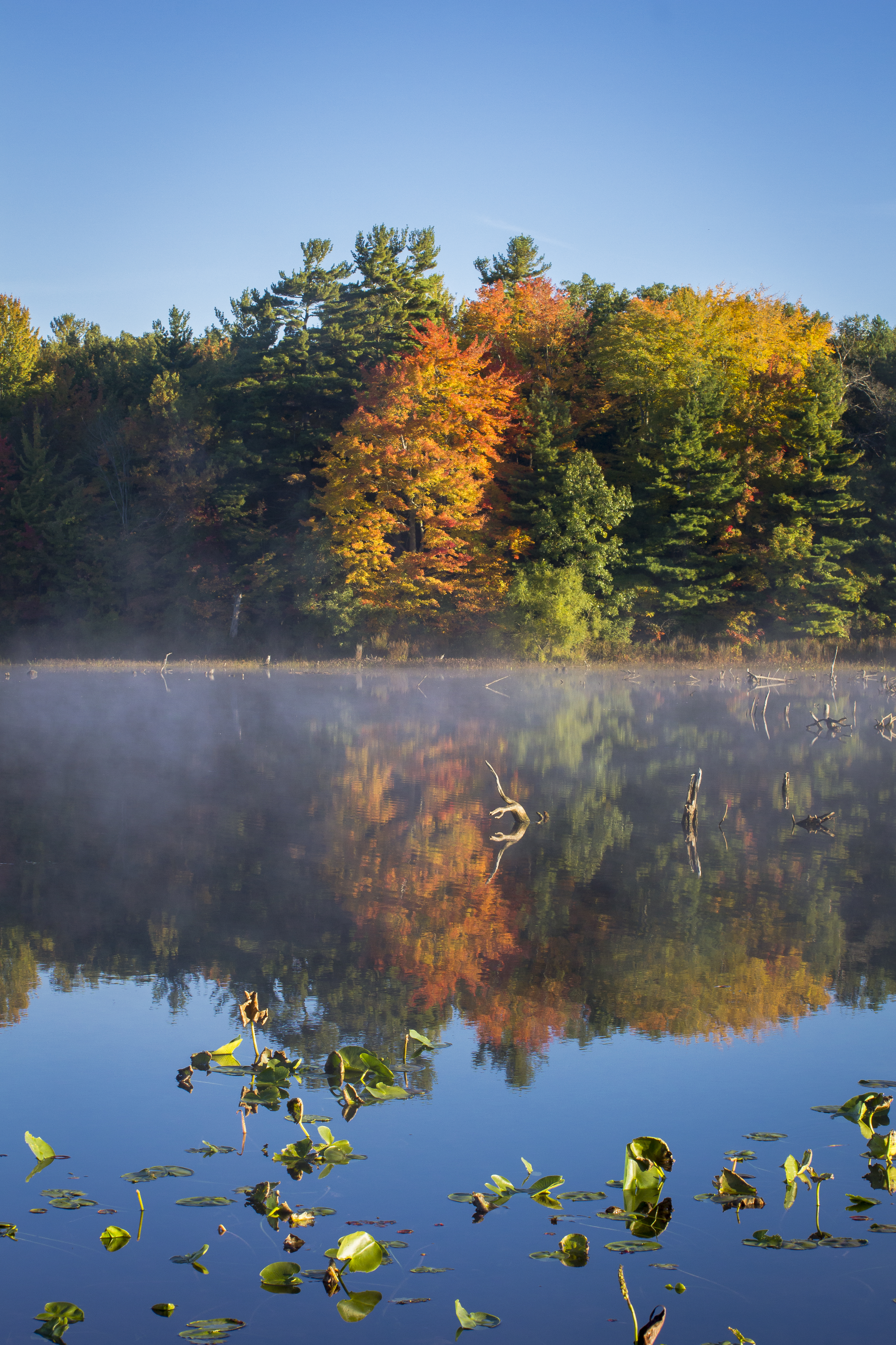 Pickerel Lake