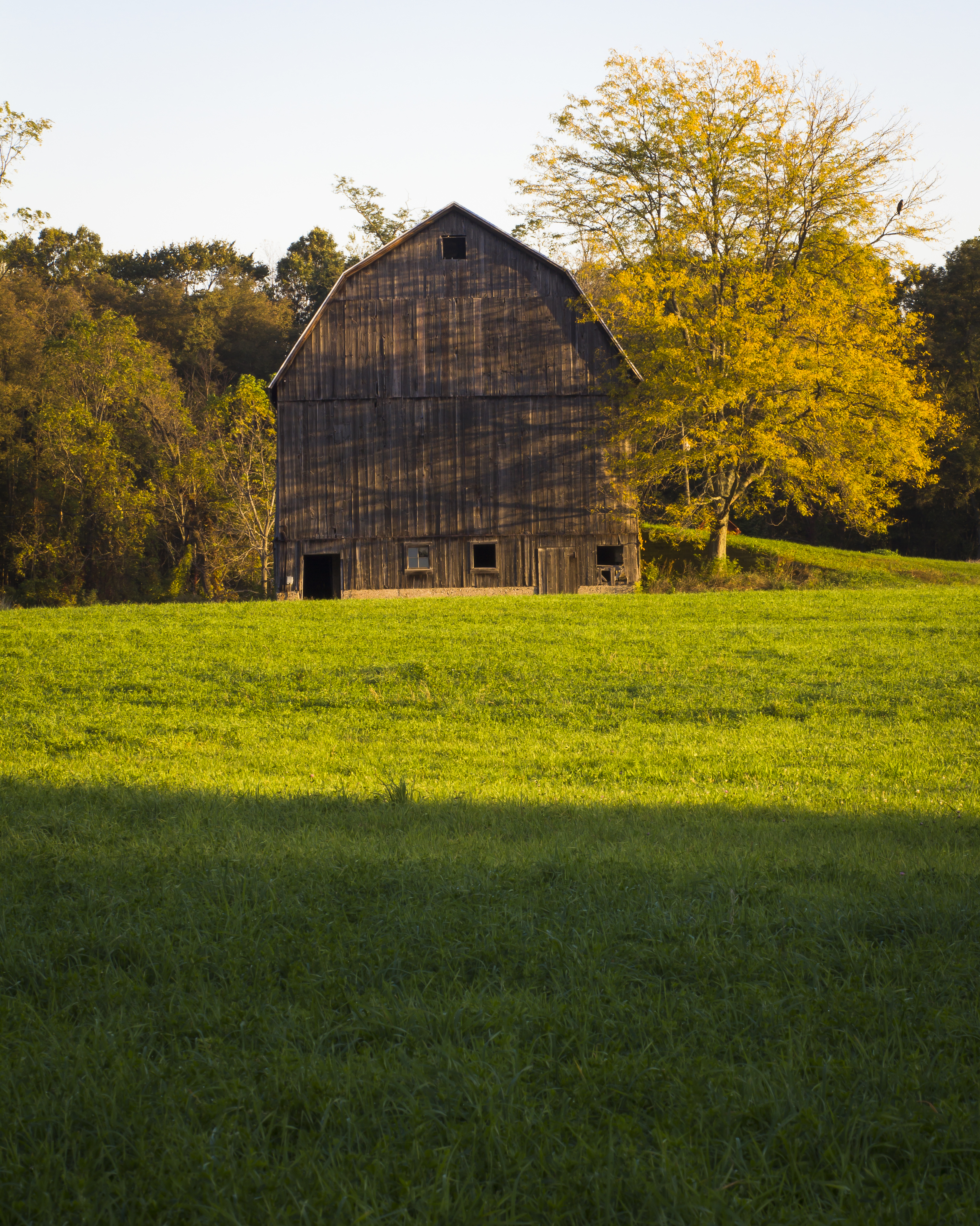 Four Mile Barn